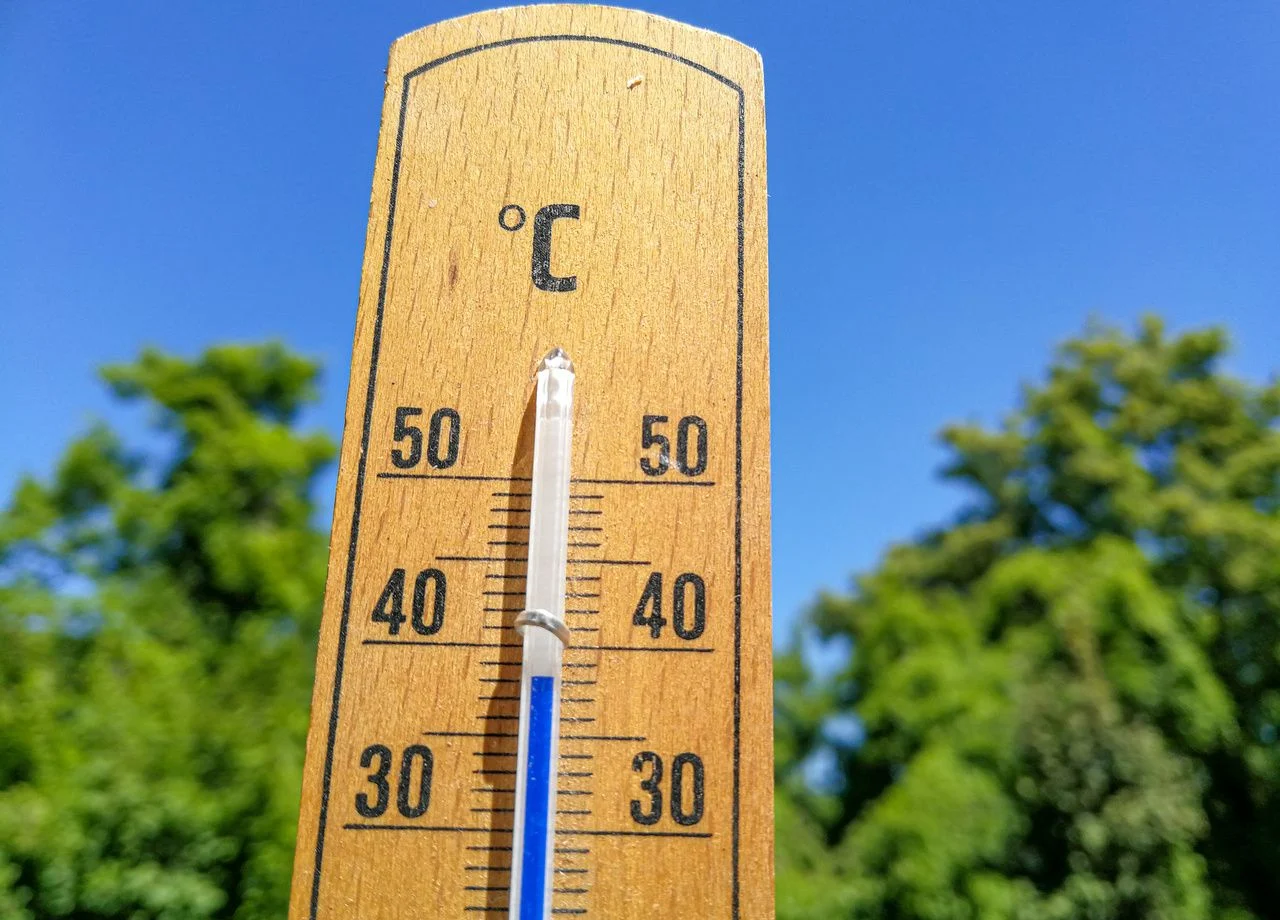 canicule
